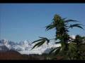 videos de N-Type-Burning.wmv