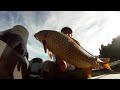 Castaic Lake Fishing