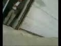 خرید و فروش رای در نمایش انتخابات رژیم