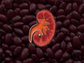 Food Patterns of our Body Featuring Enya Metamorphosis Food Patterns of our Body Featuring Enya Metamorphosis