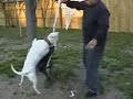 kodah n nala kodah n nala