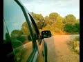 Gabaldon Speed 98