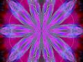 Floori.D.A. ~ (Rabbit in the Moon) A.K. 1200\