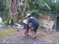 videos de the Deadliest Fruit Fighter part 2