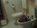 gatto stupido ke beve e poi gioka cn l'acqua