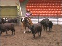 RK Purdy Playgun and Kelli Pinion capture the 2008 All-American Quarter Horse Congress Cutting Futurity Champion title! Way to go Kelli and Purdy!