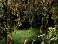  - MovieZen Video