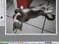 Vídeo Aula Photoshop CS2 - Ferramentas de Seleção Vídeo Aula Photoshop CS2 - Ferramentas de Seleção