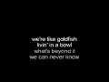 The Anthropic Viewpoint (Karaoke)