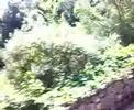 On the road to Sermoneta