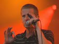 racoon   kingsize  marktrock