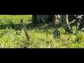  - MovieZen Video