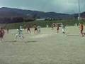 Copelandia vs Farafulla