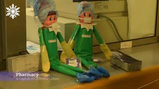 Christmas Trees at Tallaght University Hospital