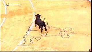 Corrida Picassiana 01
