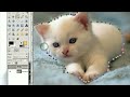 Awesome Photo Manipulation in Gimp