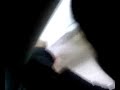 okey hisset esneklik testi okey hisset esneklik testi