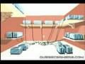 videos de Youtube Poop: Speckter releases the apes again