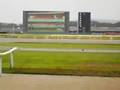 東京競馬場動画4