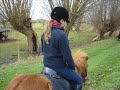 op Buitenrit met Nousje en cint op Buitenrit met Nousje en cint