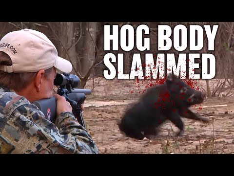 Hunting Hogs and more with Suppressed Rifle | Horsepower