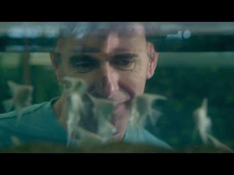 Wim Custers over Ruinemans Group