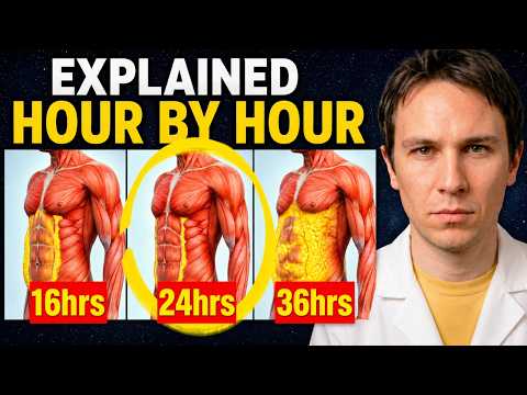 Your Organs During a 36 Hour Fast Explained (Hour by Hour)