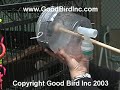 Training a Macaw to Accept Inhaled Medication Training a Macaw to Accept Inhaled Medication