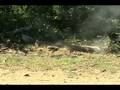 2002 Mason NH AK-47 Part 4 Target Practice