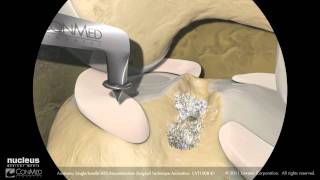 Marcelo Tostes-3