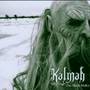 Kalmah - Bitter Metallic Side