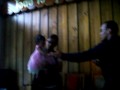 Presentacion en PR