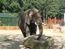 Ligadventure Ouwehands Dierenpark