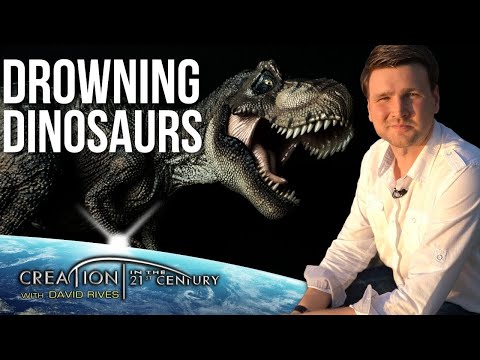 Did Dinosaurs Drown in Noah’s Flood? / Creation in the 21st Century Did Dinosaurs Drown in Noah's Flood? / Creation in the 21st Century