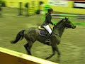 Flyinge Gand Prix 120