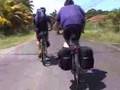 Caribbean Mountain Biking - Dominica, The Nature ...