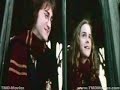 Hermione [Darcy's Wild Life]