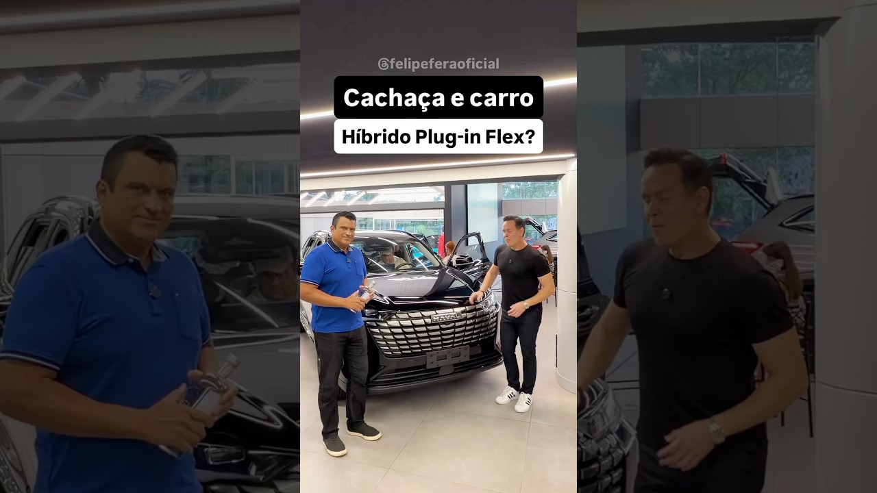 Cachaça e carro híbrido plug-in flex?