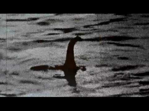 Nessie - Check out this 2012 video of the Loch Ness Monster - Nessie. This is the Super Bowl of Loch Ness films - the information was caught live by Steve Alten (and ...