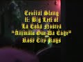 Central Slang feat Big Left Animals out da Cage