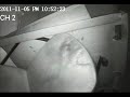 Earthquake Caught on Video During Paranormal Investigation