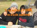 Vencedor cada dia ( 1 )