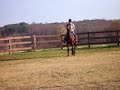 Horse rearing Horse rearing