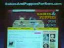 SXSW: Worst Website Ever