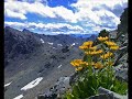 Shapes of the Landscape