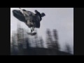 SledPorn - The Best Of