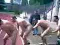 Chicken Rugby....zitti zitti piano piano Chicken Rugby....zitti zitti piano piano
