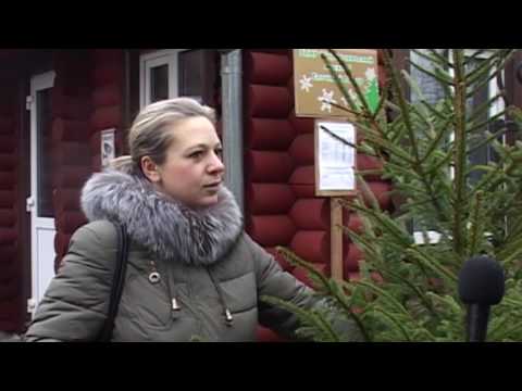 Вести Барановичи - 21 декабря 2016.