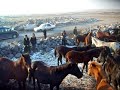güzel atlar diyar? göreme güzel atlar diyar? göreme