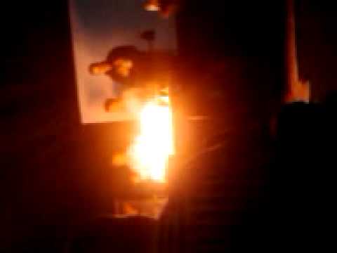 paddy power cheltenham